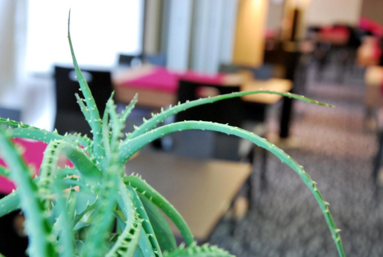 Park Hotel & Appartements โชเลต์ ภายนอก รูปภาพ
